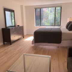 Отель Lenox Hill Apartments 30 Day Rentals США, Нью-Йорк - отзывы, цены и фото номеров - забронировать отель Lenox Hill Apartments 30 Day Rentals онлайн комната для гостей фото 2