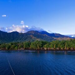 Отель Matahari Beach Resort & Spa фото 4