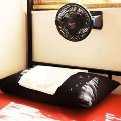 Отель Colombo City Hostel Шри-Ланка, Коломбо - отзывы, цены и фото номеров - забронировать отель Colombo City Hostel онлайн комната для гостей фото 2