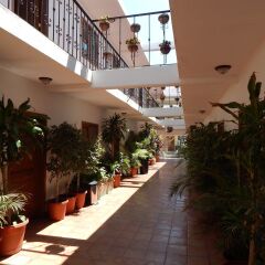 Отель Cabo Cush Мексика, Кабо-Сан-Лукас - отзывы, цены и фото номеров - забронировать отель Cabo Cush онлайн фото 2