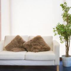 Отель Residence Hotel Hakata 5 Япония, Фукуока - отзывы, цены и фото номеров - забронировать отель Residence Hotel Hakata 5 онлайн комната для гостей фото 4