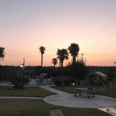 Отель 99 Palms Inn & Suites фото 3