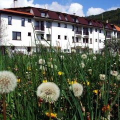 Отель Family Hotel Smolena Болгария, Чепеларе - отзывы, цены и фото номеров - забронировать отель Family Hotel Smolena онлайн фото 27