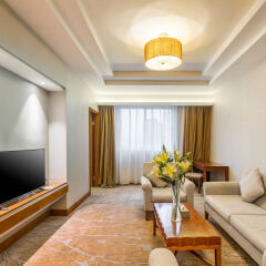 Отель Wanyue Grand Skylight Shenzhen Шэньчжэнь комната для гостей фото 5