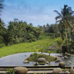 Отель Dwaraka The Royal Villas фото 14