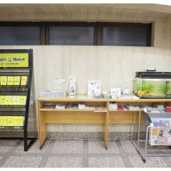 Отель Smille Nihonbashi-Mitsukoshimae Токио развлечения