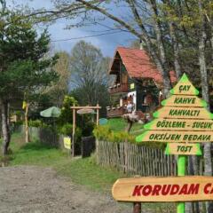 Abant Korudam Konak Pansiyon Турция, Болу - отзывы, цены и фото номеров - забронировать отель Abant Korudam Konak Pansiyon онлайн приотельная территория