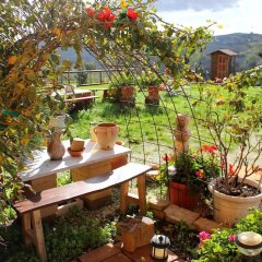 Отель B&B Aesis La Dolce Collina Джези фото 4