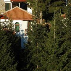 Отель Villas & SPA at Pamporovo Village Пампорово фото 11