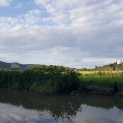 Отель Castello di Lispida Италия, Региональный парк Colli Euganei - отзывы, цены и фото номеров - забронировать отель Castello di Lispida онлайн приотельная территория