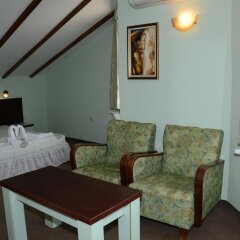Отель Family Hotel Vejen Болгария, Копривштица - отзывы, цены и фото номеров - забронировать отель Family Hotel Vejen онлайн сейф в номере