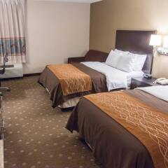 Comfort Inn Pittsburgh in Pittsburgh, United States of America from 131$, photos, reviews - zenhotels.com room amenities