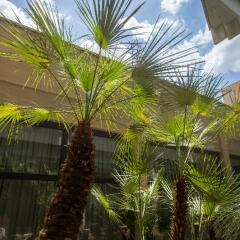 Отель Wyndham Rome Midas фото 8