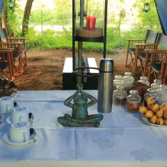 Отель Mahoora Tented Safari Camp All-Inclusive - Yala Шри-Ланка, Катарагама - отзывы, цены и фото номеров - забронировать отель Mahoora Tented Safari Camp All-Inclusive - Yala онлайн детские мероприятия