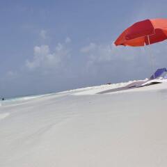 Отель Arena Lodge Maldives Мальдивы, Маафуши - отзывы, цены и фото номеров - забронировать отель Arena Lodge Maldives онлайн спортивное сооружение