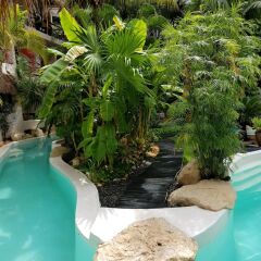 La Tortuga Hotel & Spa - Adults Only бассейн фото 3