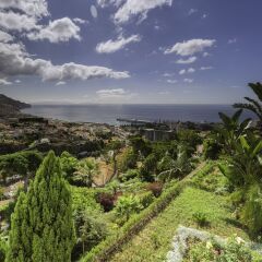 Отель Quinta das Vistas Palace Gardens Португалия, Фуншал - отзывы, цены и фото номеров - забронировать отель Quinta das Vistas Palace Gardens онлайн приотельная территория