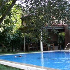 Defne Hotel Турция, Камликой - отзывы, цены и фото номеров - забронировать отель Defne Hotel онлайн бассейн фото 2