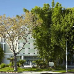 Отель Avalon Hotel Beverly Hills США, Беверли Хиллс - отзывы, цены и фото номеров - забронировать отель Avalon Hotel Beverly Hills онлайн