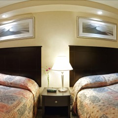 Отель Econo Lodge Inn & Suites Downtown Канада, Торонто - отзывы, цены и фото номеров - забронировать отель Econo Lodge Inn & Suites Downtown онлайн комната для гостей фото 5