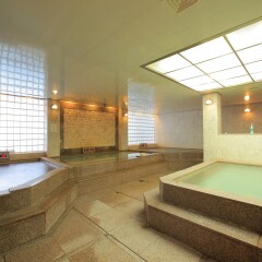 Отель Yongpyong Resort Dragon Valley Hotel Южная Корея, Пхёнчан - отзывы, цены и фото номеров - забронировать отель Yongpyong Resort Dragon Valley Hotel онлайн сауна