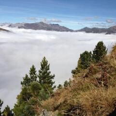 Отель Naturfreundehaus Davos Clavadel