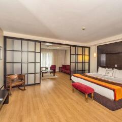 Barcelo Saray Special Class Турция, Стамбул - отзывы, цены и фото номеров - забронировать отель Barcelo Saray Special Class онлайн комната для гостей фото 4