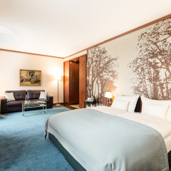 Living Hotel Düsseldorf by Derag комната для гостей фото 4