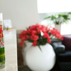 Отель Starlet Hotel Вьетнам, Нячанг - 2 отзыва об отеле, цены и фото номеров - забронировать отель Starlet Hotel онлайн комната для гостей фото 3