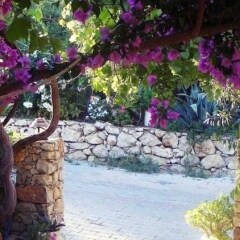 Eucalyptus Pension Турция, Патара - отзывы, цены и фото номеров - забронировать отель Eucalyptus Pension онлайн фото 5