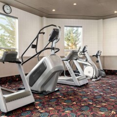 Отель Executive Royal Hotel Calgary Канада, Калгари - отзывы, цены и фото номеров - забронировать отель Executive Royal Hotel Calgary онлайн фото 8