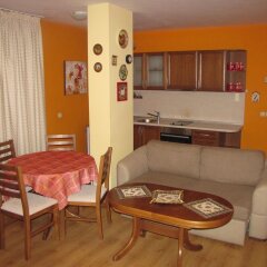 Отель Edelweiss Inn Apartments Болгария, Банско - отзывы, цены и фото номеров - забронировать отель Edelweiss Inn Apartments онлайн фото 21