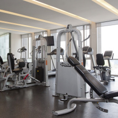 Отель Plaza Suites Mexico City Hotel Мексика, Мехико - отзывы, цены и фото номеров - забронировать отель Plaza Suites Mexico City Hotel онлайн фитнесс-зал фото 4