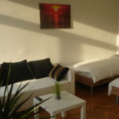 Апартаменты Vienna-apartment-one Halbgasse Вена комната для гостей фото 5