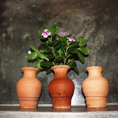 Отель An Bang Flower House интерьер отеля