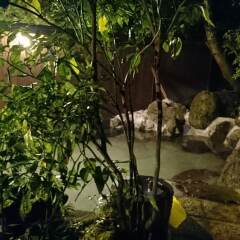 Отель Ryokan Ichinoi Минамиогуни фото 5