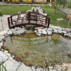 A Coutada Hotel Rural фото 6