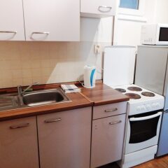 Апартаменты Viklefova apartment в номере