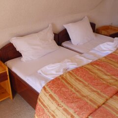 Отель Family Hotel Silver Болгария, Смолян - отзывы, цены и фото номеров - забронировать отель Family Hotel Silver онлайн комната для гостей фото 3
