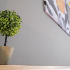 Отель Stylish 2 BR Home in Center of Sofia Болгария, София - отзывы, цены и фото номеров - забронировать отель Stylish 2 BR Home in Center of Sofia онлайн интерьер отеля