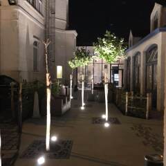 Отель Golden Tree Hotel Бельгия, Брюгге - 4 отзыва об отеле, цены и фото номеров - забронировать отель Golden Tree Hotel онлайн фото 7