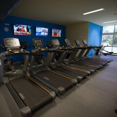 Отель Crowne Plaza Alice Springs Lasseters фитнесс-зал фото 3