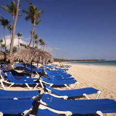 Отель Grand Bavaro Princess Доминикана, Пунта Кана - 11 отзывов об отеле, цены и фото номеров - забронировать отель Grand Bavaro Princess онлайн