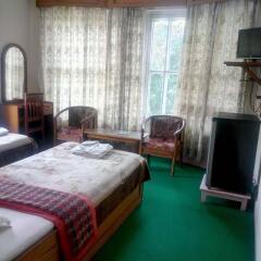 Отель Green Tara Hotel Непал, Покхара - отзывы, цены и фото номеров - забронировать отель Green Tara Hotel онлайн комната для гостей фото 3