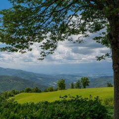 Отель Agriturismo Casa Passerini a Firenze Италия, Лонда - отзывы, цены и фото номеров - забронировать отель Agriturismo Casa Passerini a Firenze онлайн фото 17