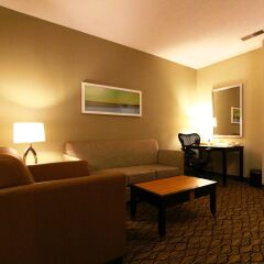 Отель Holiday Inn Effingham США, Эффингем - отзывы, цены и фото номеров - забронировать отель Holiday Inn Effingham онлайн комната для гостей фото 4