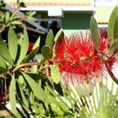 Отель Aruba Черногория, Будва - отзывы, цены и фото номеров - забронировать отель Aruba онлайн фото 6
