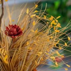 Akis Hotel фото 22