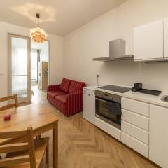Апартаменты Premier Apartment Wenceslas Square II. Прага в номере фото 2