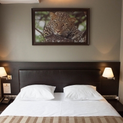 Гостиница Bartolomeo Best River Resort комната для гостей фото 2